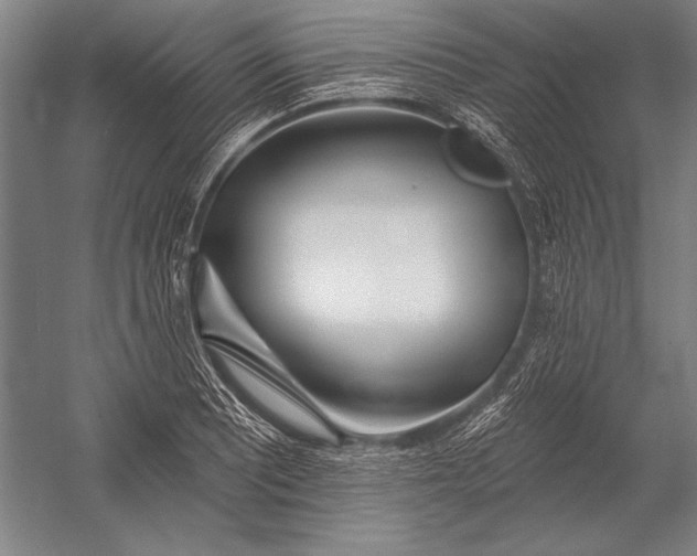 X0000053001081200507221241