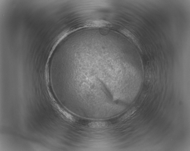 X0000053001083200507221241