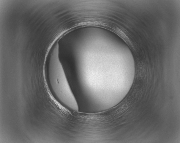 X0000053001084200507221241