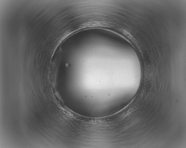 X0000053001089200507221241