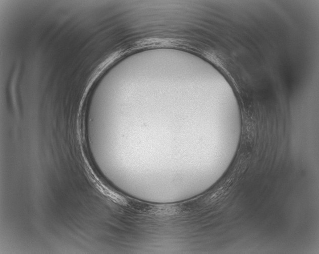 X0000053001090200507221241