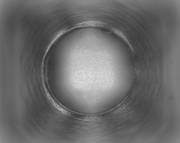 X0000053001091200507221241