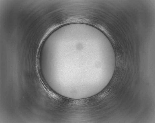 X0000053001094200507221240