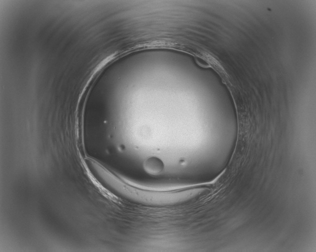 X0000053001095200507221240