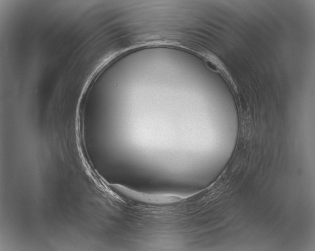 X0000053001096200507221240