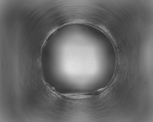 X0000053001097200507221240