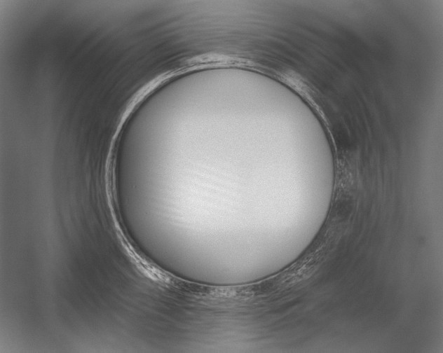 X0000053001098200507221240