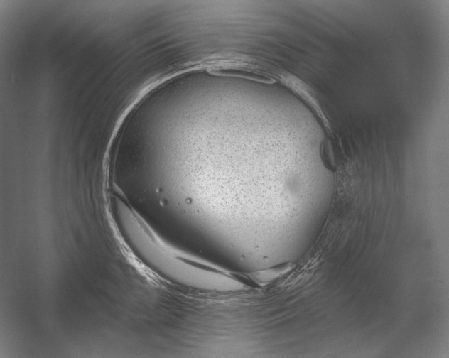 X0000053001099200507221240