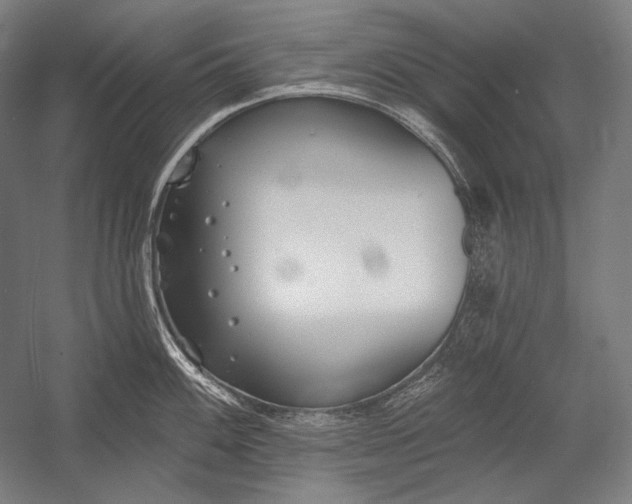 X0000053001100200507221240