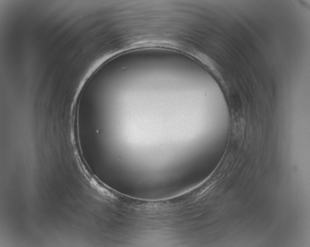 X0000053001102200507221240