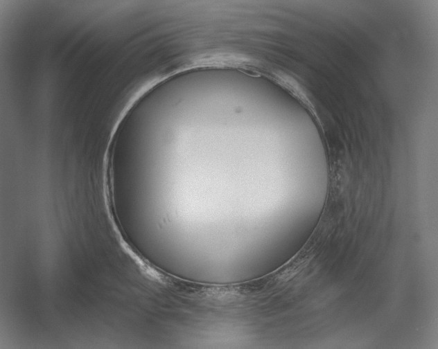 X0000053001103200507221240