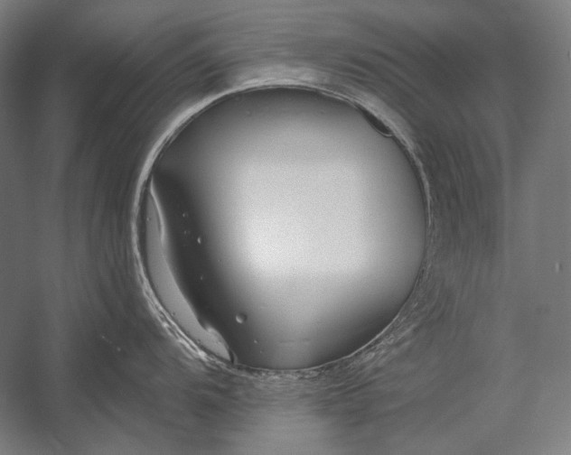 X0000053001104200507221240