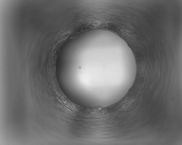 X0000053001105200507221239