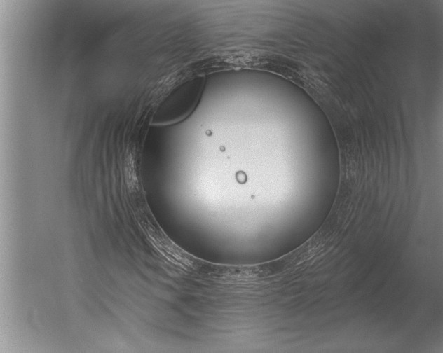 X0000053001106200507221239