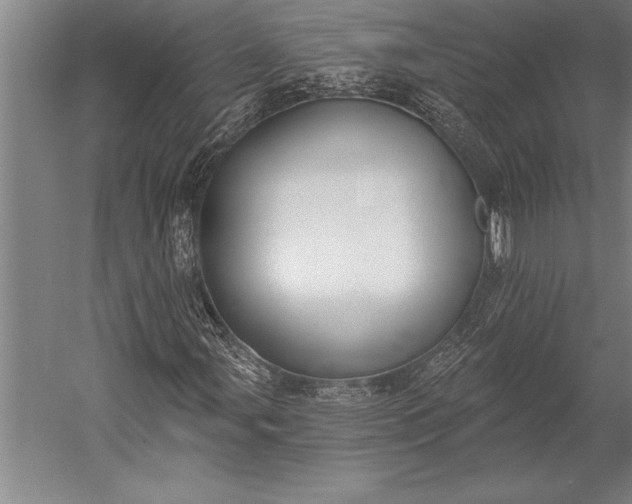 X0000053001107200507221239