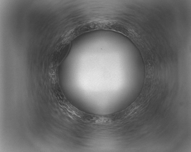 X0000053001109200507221240