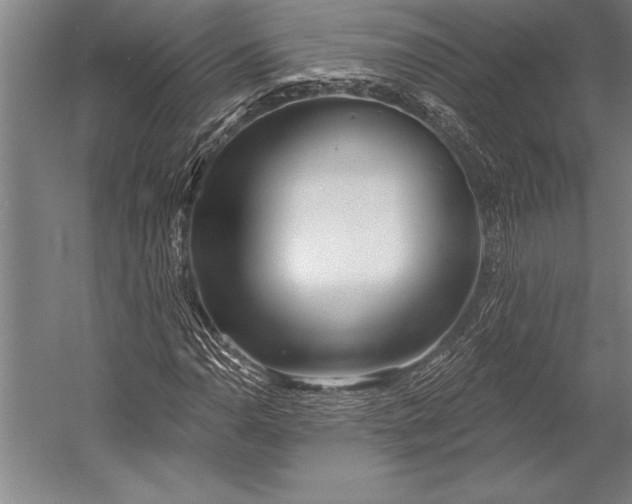 X0000053001110200507221240