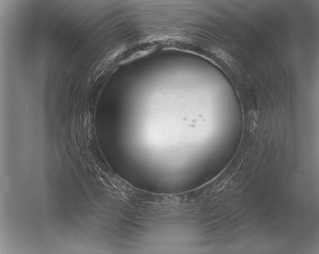 X0000053001111200507221240