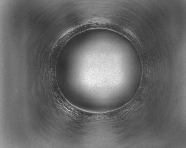 X0000053001112200507221240