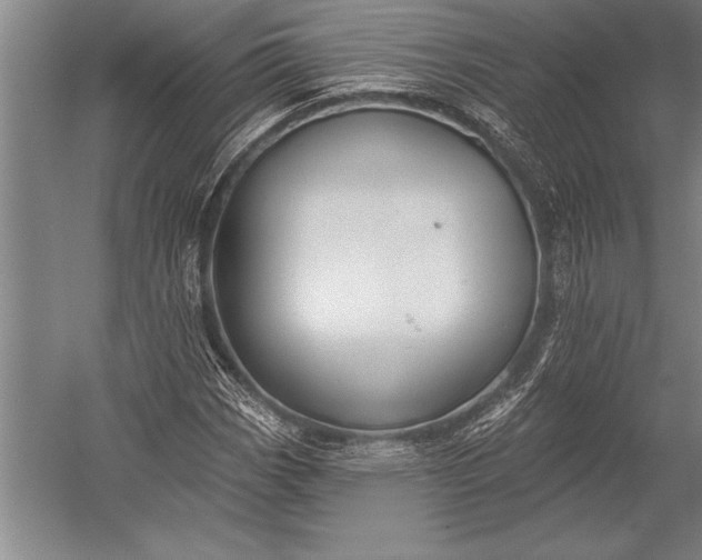 X0000053001113200507221240