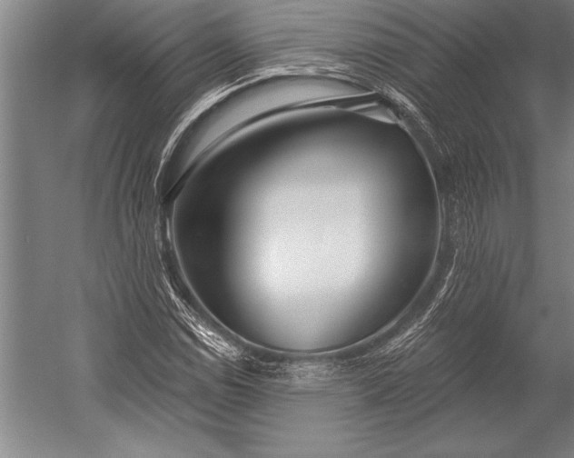 X0000053001114200507221240