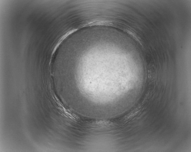 X0000053001117200507221240