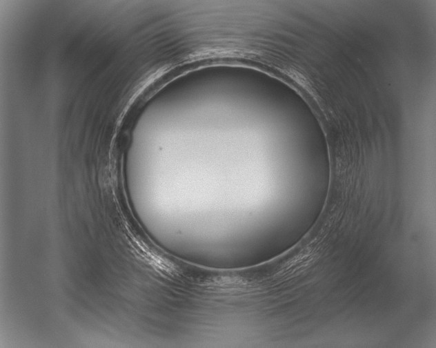 X0000053001119200507221240