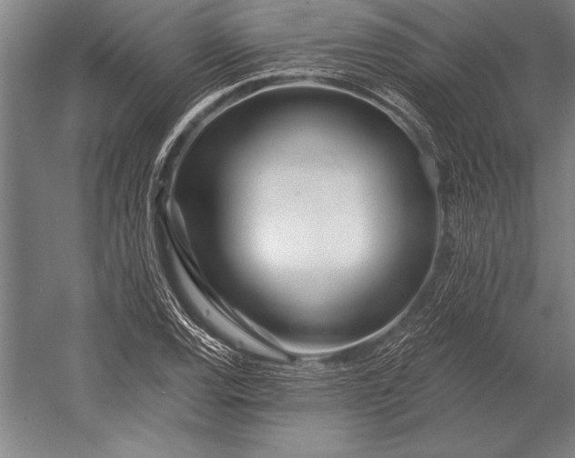 X0000053001120200507221240