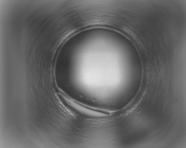 X0000053001121200507221240