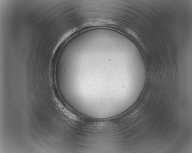 X0000053001122200507221240