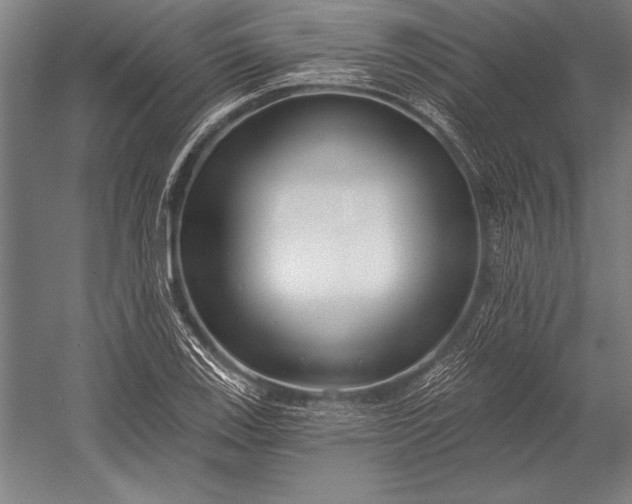 X0000053001123200507221240