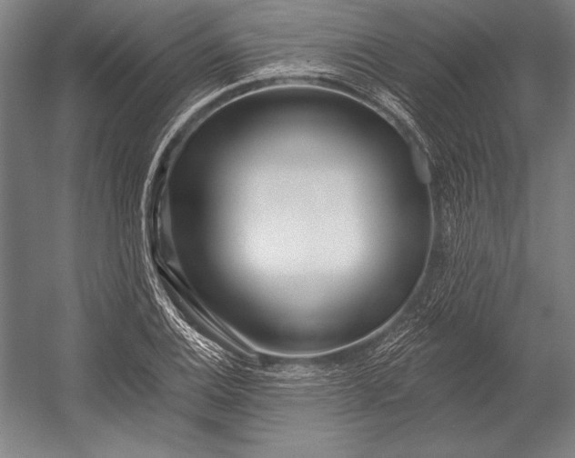 X0000053001124200507221240