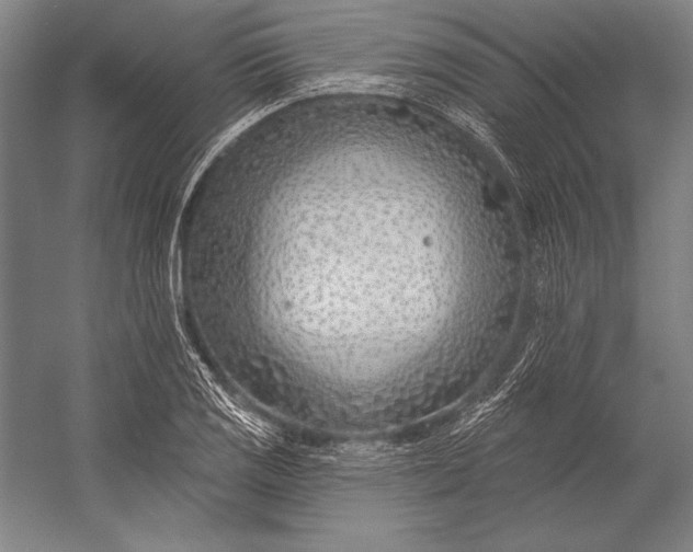 X0000053001125200507221240