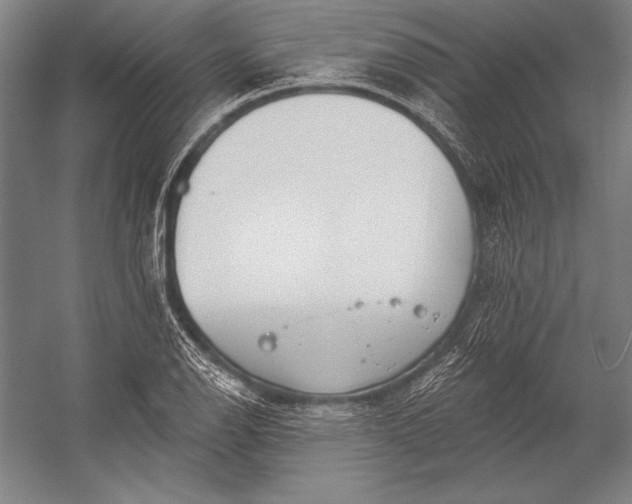 X0000053001126200507221240