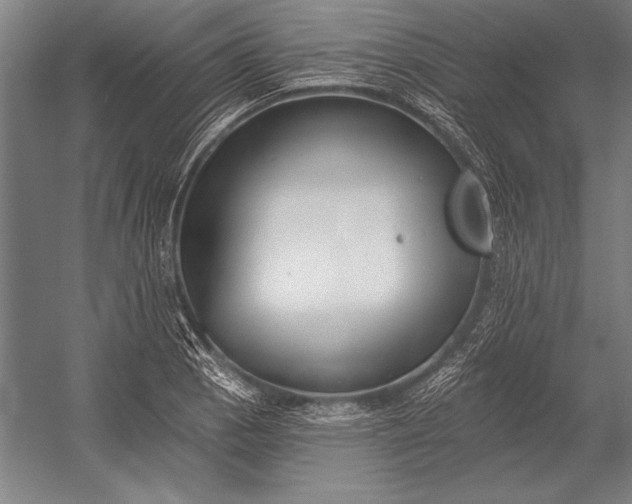 X0000053001129200507221240