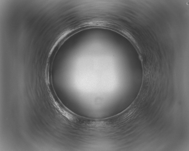 X0000053001131200507221240