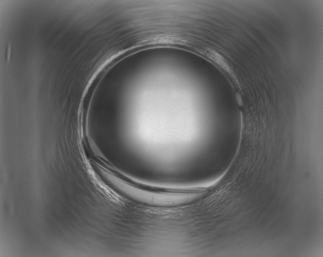 X0000053001132200507221240