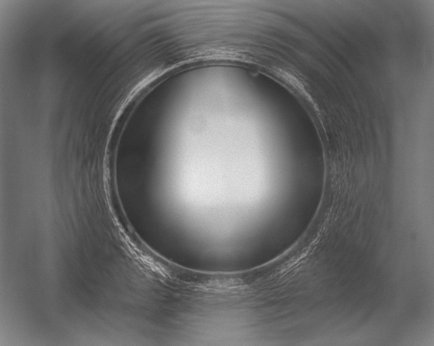 X0000053001133200507221240