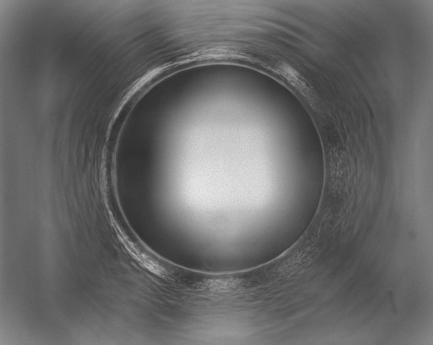 X0000053001134200507221240