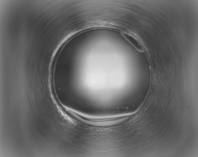 X0000053001136200507221240