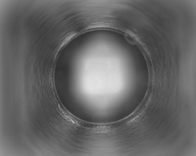 X0000053001137200507221240