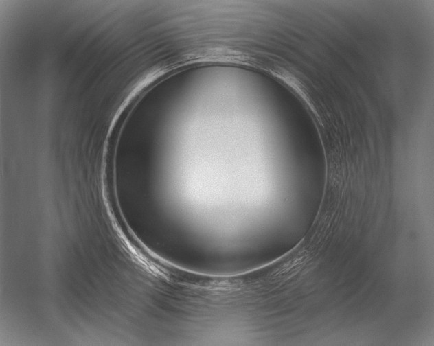 X0000053001139200507221240