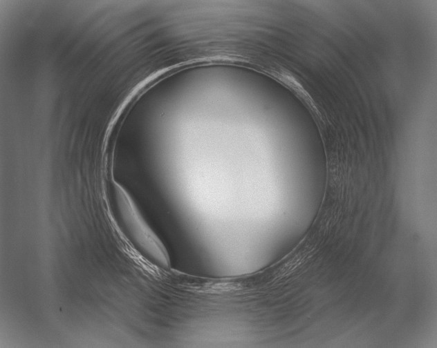 X0000053001140200507221240