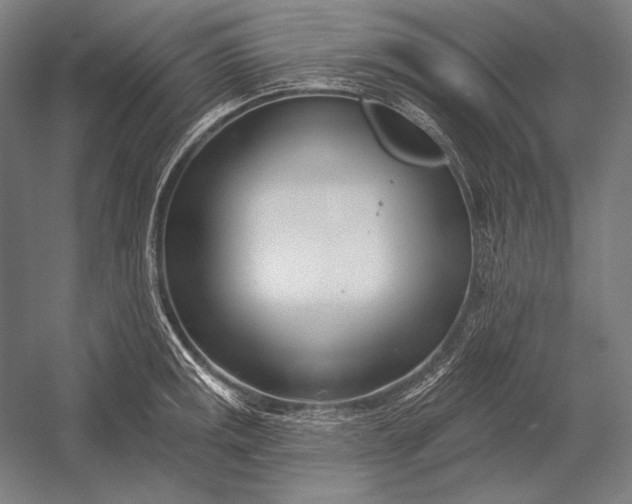 X0000053001141200507221240