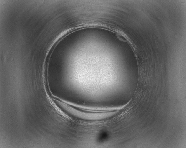 X0000053001142200507221240