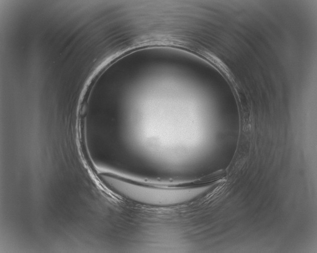 X0000053001144200507221240