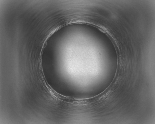 X0000053001145200507221240