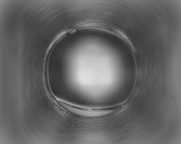 X0000053001146200507221240