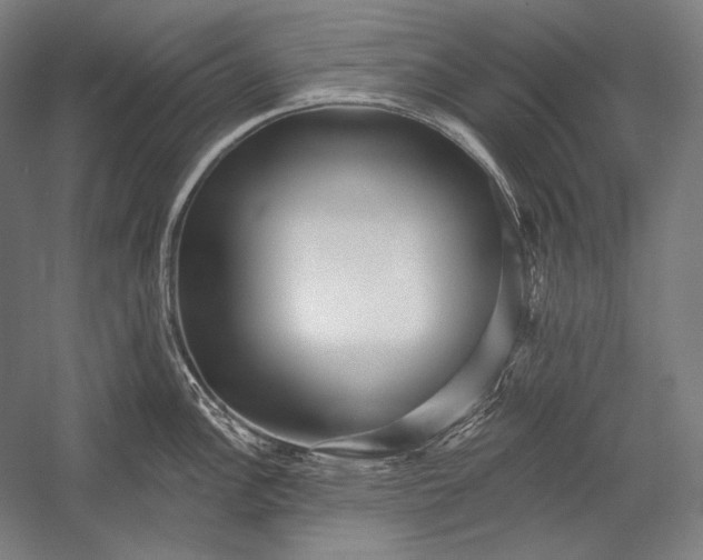 X0000053001148200507221240