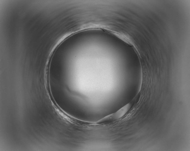 X0000053001151200507221240